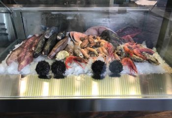 WhatsApp Image 2023-08-09 at 11.51.20 (8)