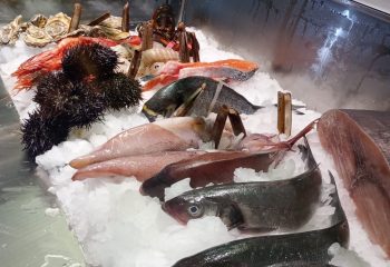 WhatsApp Image 2023-11-29 at 15.50.38