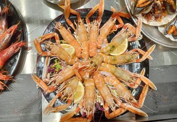 WhatsApp Image 2023-11-29 at 15.50.44