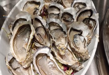 WhatsApp Image 2023-11-29 at 15.50.46