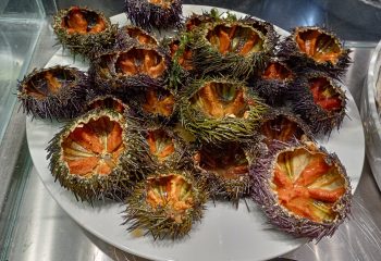 WhatsApp Image 2023-11-29 at 15.50.48