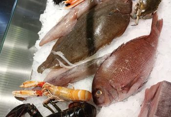 WhatsApp Image 2023-11-29 at 15.50.52 (1)