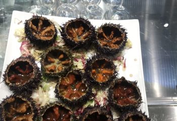 WhatsApp Image 2023-11-29 at 15.53.40 (2)