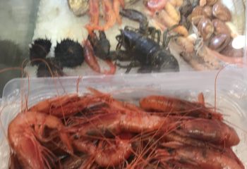 WhatsApp Image 2023-11-29 at 15.53.41